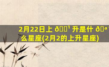 2月22日上 🌹 升是什 🪴 么星座(2月2的上升星座)
